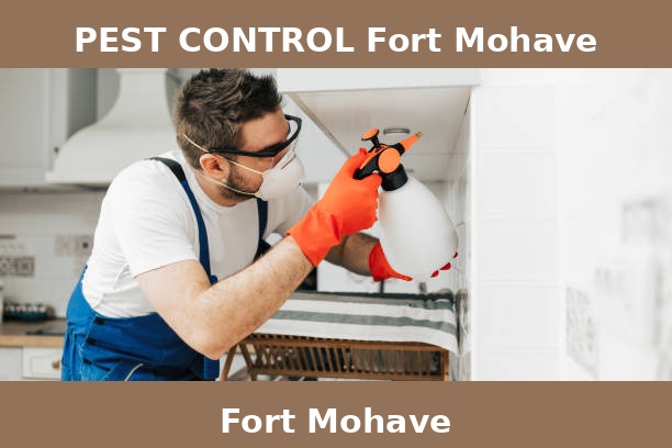 PEST CONTROL Fort Mohave